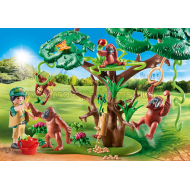 70345 - Orangutany na strome